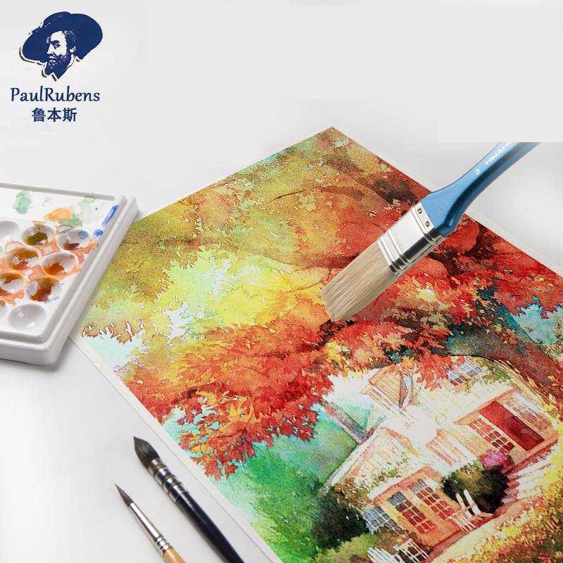 Paul Rubens Carta per acquerel - Ink Blotter Paper recensione e prezzo